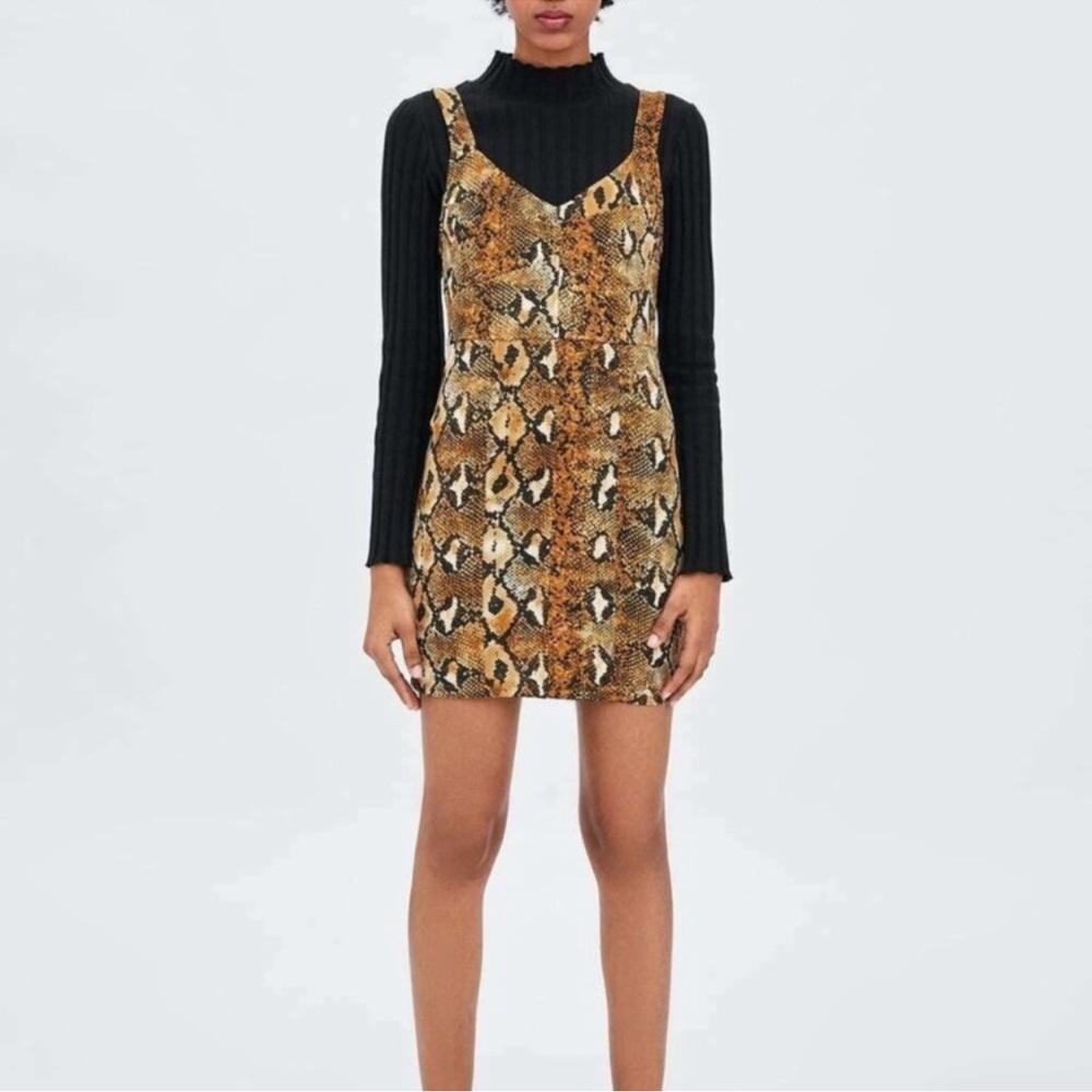 Zara Snake Print Dress
